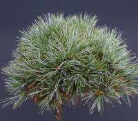 d8c7d080-d506-11f0-891e-246e9611e8f6-1