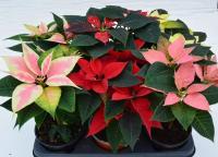 2c85f517-64b4-11ec-9c12-005056c00008-1