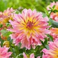 ba2320f2-cf9c-11f0-891e-246e9611e8f6-1