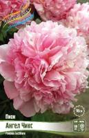 f81e5733-1c4e-11f1-8926-246e9611e8f6-1