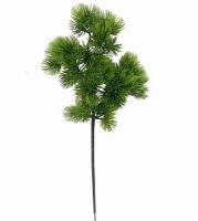 6503b064-9cfc-11ef-8912-246e9611e8f7-1