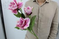 4f333f38-5a70-11f0-891b-246e9611e8f7-1