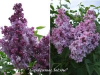 186cb204-29ae-11f1-8926-246e9611e8f6-1