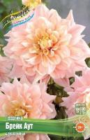 f7e2c5ca-0c96-11f1-8924-246e9611e8f6-1