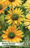 Echinacea Mellow Yellows