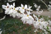 e95eccfb-2ce9-11f1-8926-246e9611e8f6-1