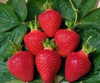 12a0688a-4150-11f0-8919-246e9611e8f7-1