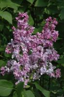 c08c182c-29aa-11f1-8926-246e9611e8f6-1