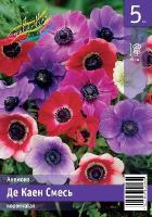 eeb9ae72-3aab-11e9-b36c-005056c00008-1