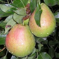 6fd78efd-29c3-11f0-8918-246e9611e8f6-1 6fd78efd-29c3-11f0-8918-246e9611e8f6-1