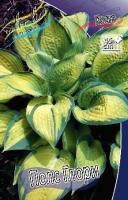 5aef2003-45ca-11f0-8919-246e9611e8f7-1