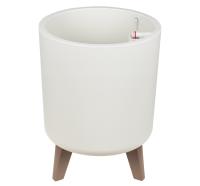 fc4e6d72-fc97-11ee-890b-246e9611e8f5-1