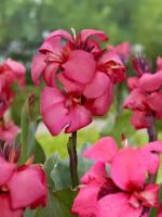 72c95640-d00c-11f0-891e-246e9611e8f6-1