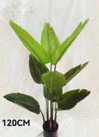 f987adc9-cab1-11f0-891e-246e9611e8f6-1