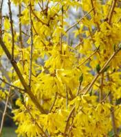 dda4cc14-2c43-11f1-8926-246e9611e8f6-1