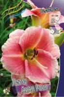 8cb648f0-8313-11e2-8ea8-00500454e615-1