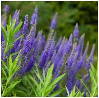 eaa7da9e-20e2-11f0-8918-246e9611e8f6-1