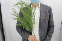 196ae08c-5a66-11f0-891b-246e9611e8f7-1