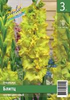 2d47a451-67af-11ed-bd4c-001e673ebdea-1