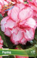 1b2babbf-6f33-11ec-8bcd-005056c00008-1