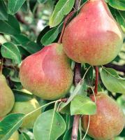 127b5956-cc0a-11ef-8915-246e9611e8f5-1