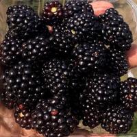 1f57ecb2-125e-11f1-8924-246e9611e8f6-1