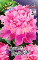 58cbe18a-7292-11e1-9ad6-00500454e615-1