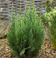 32440f36-3a52-11e8-a7ea-005056c00008-1