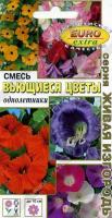 70f41a95-dcea-11dd-9138-00500454e615-1