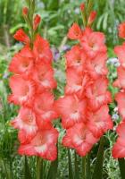 6e8b92b7-cf51-11f0-891e-246e9611e8f6-1