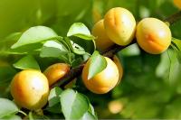 508a19a2-c9e2-11ef-8915-246e9611e8f5-1