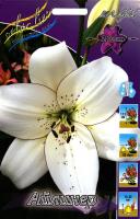 cad91b44-675c-11ed-bd4c-001e673ebdea-1