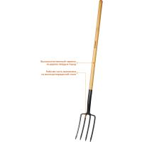 ae17a810-c339-11ed-ae56-001e673ebdea-1