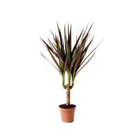 ef3b09ea-7d5f-11ee-ae0a-001e673ebdea-1