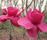 b97b24e5-d421-11f0-891e-246e9611e8f6-1