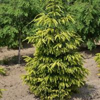 19c298de-d027-11f0-891e-246e9611e8f6-1