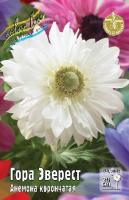 65c7af8e-5bb3-11ef-8910-246e9611e8f6-1