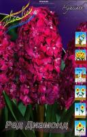 bb765922-842b-11f1-892d-246e9611e8f5-1