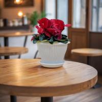 3b3b312b-574a-11ed-aea3-001e673ebdea-1