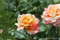 f165bcd1-18cd-11ef-890d-246e9611e8f7-1