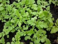 47053be0-564f-11e5-a7b4-001e673ebdea-1