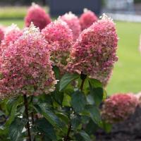 83ec9f5a-45c4-11f0-8919-246e9611e8f7-1