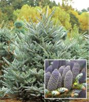 3d242179-1aac-11e7-af54-001e673ebdea-1