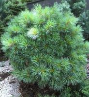 ff30aeed-d503-11f0-891e-246e9611e8f6-1