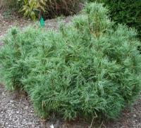 0210e574-c361-11ef-8915-246e9611e8f5-1