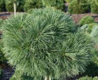 aa34b54f-c358-11ef-8915-246e9611e8f5-1