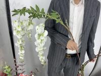 a8819c71-5a6f-11f0-891b-246e9611e8f7-1