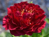 367ff73b-fffb-11f0-8924-246e9611e8f6-1