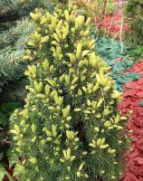 e60c586d-d037-11f0-891e-246e9611e8f6-1