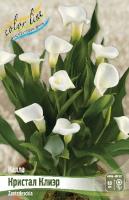 6fc2caf2-6534-11ea-96d0-005056c00008-1